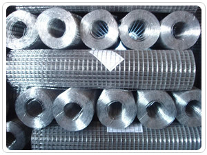 Anticorrosion longueur de Mesh Electric Galvanized Net 5-50m de fil soudée 1/4 par pouce