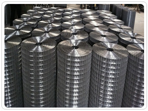 l'acier inoxydable de 316/316L /304L/304 a soudé le grillage 0.4M-2M Width Anti Oxidation