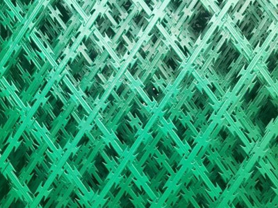 Anti barrière en acier à haut carbone For Protection Rustproof de barbelé de rasoir du vol BTO-18